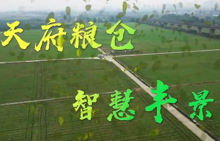 天府糧倉 封面.jpg